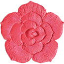 アイスジェル ココジェル CC-013