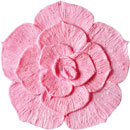 アイスジェル ココジェル CC-014