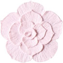 アイスジェル ココジェル CC-016