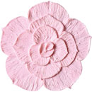 アイスジェル ココジェル CC-018