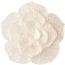 アイスジェル ココジェル CC-019