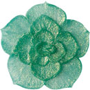 アイスジェル ココジェル CC-028