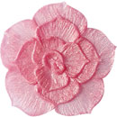 アイスジェル ココジェル CC-029