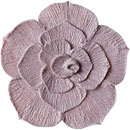 アイスジェル ココジェル CC-030