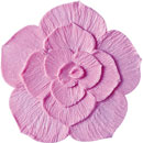 アイスジェル ココジェル CC-034