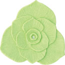 アイスジェル ココジェル CC-037