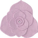 アイスジェル ココジェル CC-042