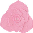 アイスジェル ココジェル CC-043