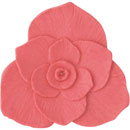 アイスジェル ココジェル CC-048