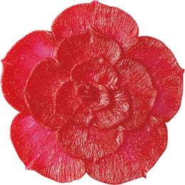 アイスジェル ココジェル CC-002