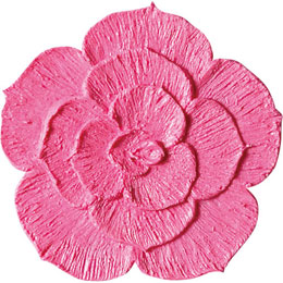 アイスジェル ココジェル CC-011