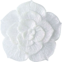 アイスジェル ココジェル CC-012