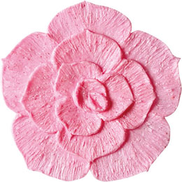 アイスジェル ココジェル CC-014