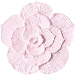 アイスジェル ココジェル CC-016