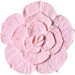 アイスジェル ココジェル CC-018