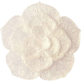 アイスジェル ココジェル CC-019