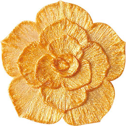 アイスジェル ココジェル CC-020