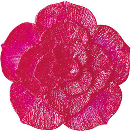 アイスジェル ココジェル CC-026