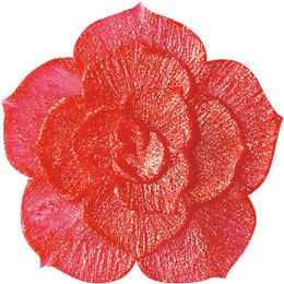 アイスジェル ココジェル CC-027