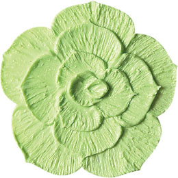 アイスジェル ココジェル CC-033