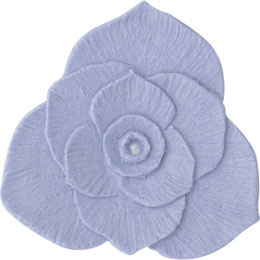 アイスジェル ココジェル CC-041