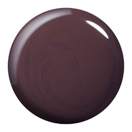 1PAM004 パラジェルカラージェル4g チョコレート
