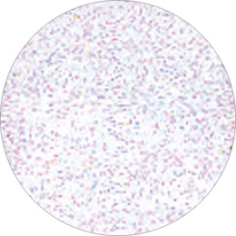 BN ジュエルグリッター S LVP-4