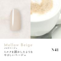 Dna Gel カラージェル 2.5g N41