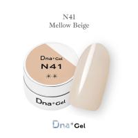 Dna Gel カラージェル 2.5g N41