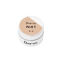 Dna Gel カラージェル 2.5g N41
