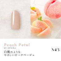 Dna Gel カラージェル 2.5g N43
