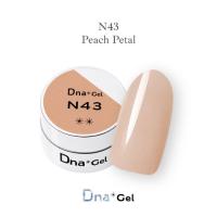 Dna Gel カラージェル 2.5g N43