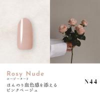 Dna Gel カラージェル 2.5g N44