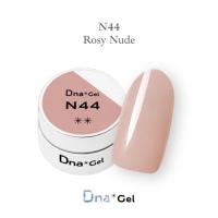 Dna Gel カラージェル 2.5g N44