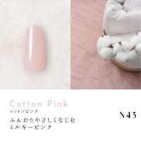 Dna Gel カラージェル 2.5g N45