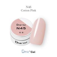 Dna Gel カラージェル 2.5g N45