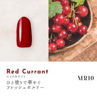 Dna Gel カラージェル 2.5g MR10