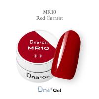 Dna Gel カラージェル 2.5g MR10