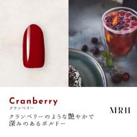 Dna Gel カラージェル 2.5g MR11