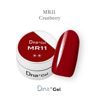 Dna Gel カラージェル 2.5g MR11