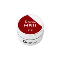 Dna Gel カラージェル 2.5g MR11