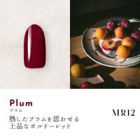 Dna Gel カラージェル 2.5g MR12