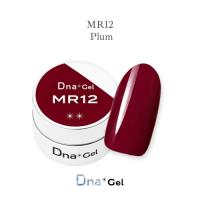 Dna Gel カラージェル 2.5g MR12