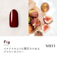 Dna Gel カラージェル 2.5g MR13