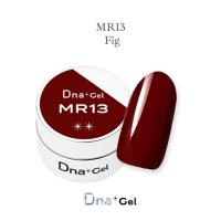 Dna Gel カラージェル 2.5g MR13