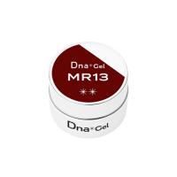 Dna Gel カラージェル 2.5g MR13