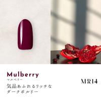 Dna Gel カラージェル 2.5g MR14