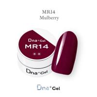Dna Gel カラージェル 2.5g MR14
