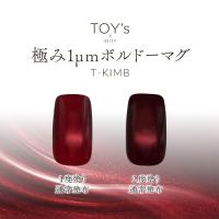 TOYsXINITY 極み1ミクロンボルドーマグ 5g