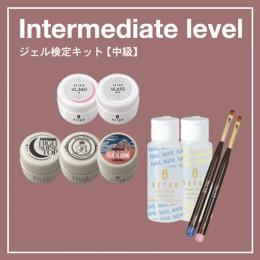 ベトロ ジェル検定キット(中級) VJC-KIT3